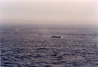 278-19a.JPG