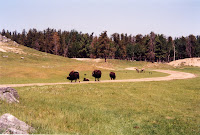 280-19a.JPG