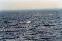 278-29a.JPG