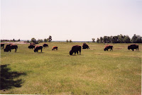 280-9a.JPG