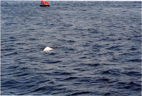 278-34a.JPG