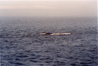 278-20a.JPG