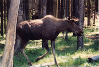 280-12a.JPG