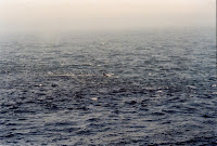 278-5a.JPG