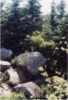 280-32a.JPG