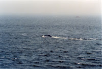 278-26a.JPG