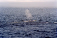 278-23a.JPG