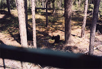 280-27a.JPG
