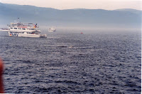 278-12a.JPG