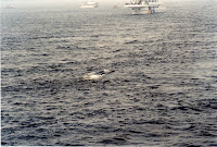278-9a.JPG