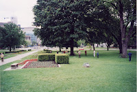 282-6a.JPG