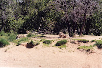 280-10a.JPG