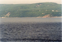 278-4a.JPG
