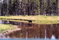280-17a.JPG
