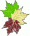 Portrait de Feuille